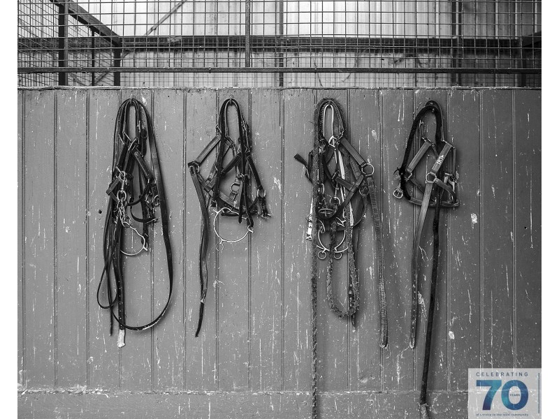 1 Laurie Cleary Lane, Cranbourne VIC 3977