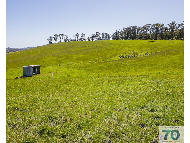 215 O’mearas Road, Poowong VIC 3988