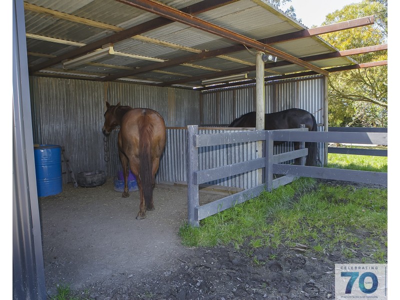 215 O’mearas Road, Poowong VIC 3988