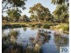 23 Laurieston Way, Cranbourne South VIC 3977