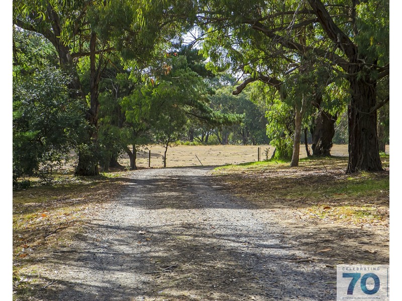 50 Carramar Road, Cranbourne South VIC 3977