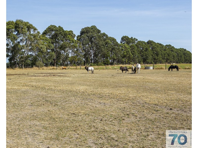 175 Linehams Road, Catani VIC 3981