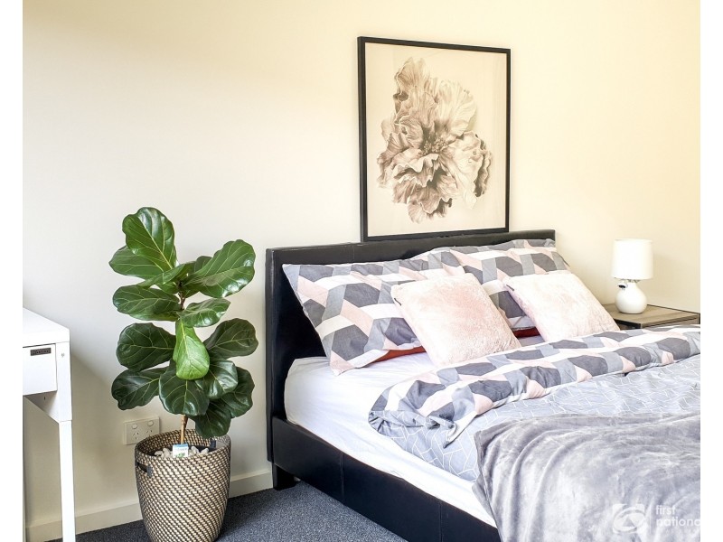 6 Alice Street, Clayton VIC 3168