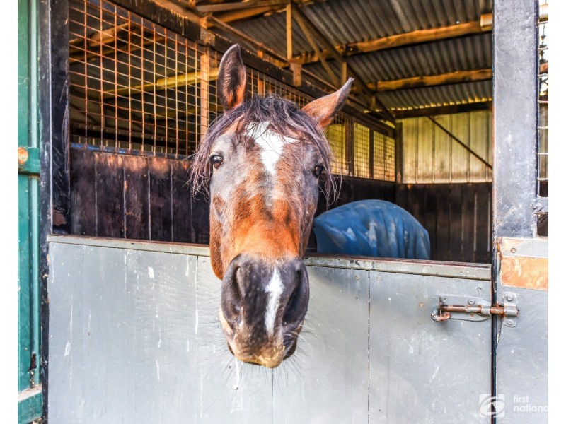 1 Laurie Cleary Lane, Cranbourne VIC 3977