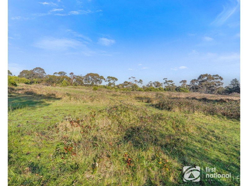 55 Quarry Road, Langwarrin VIC 3910