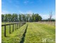 165 Scanlons Drain Road, Bayles VIC 3981