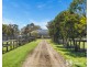 165 Scanlons Drain Road, Bayles VIC 3981