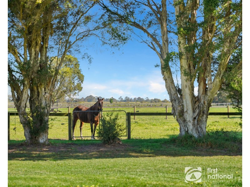 165 Scanlons Drain Road, Bayles VIC 3981