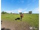 165 Scanlons Drain Road, Bayles VIC 3981