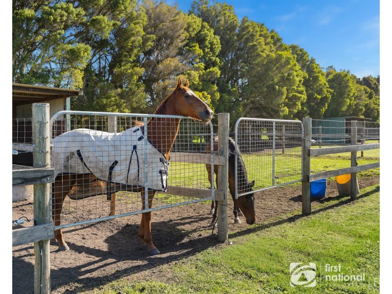 165 Scanlons Drain Road, Bayles VIC 3981