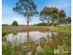 16B Madelyn Court, Cranbourne South VIC 3977