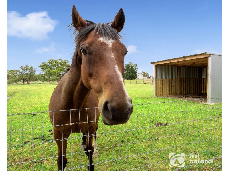 191-193 Smiths Lane, Cranbourne South VIC 3977