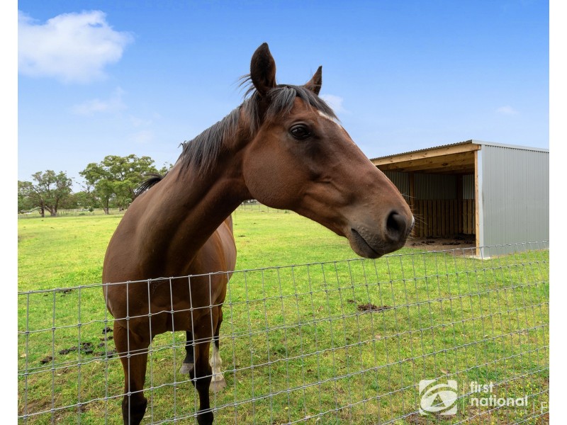 191-193 Smiths Lane, Cranbourne South VIC 3977