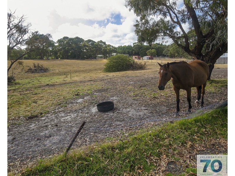 50 Carramar Road, Cranbourne South VIC 3977