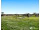 185 Pearcedale Road, Pearcedale VIC 3912