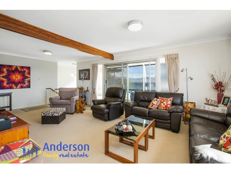 41 Elsanne Street, Aspley QLD 4034