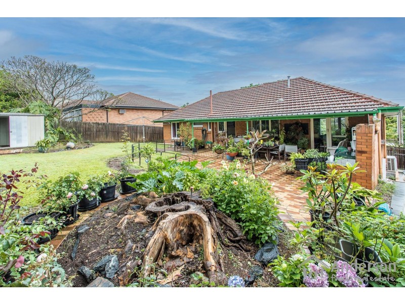 16 Ailsa Street, Aspley QLD 4034