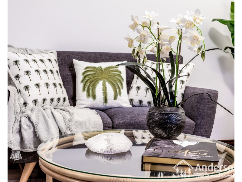 6/61 Bellevue Terrace, Clayfield QLD 4011