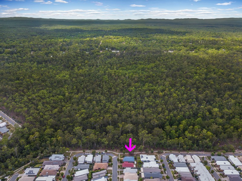 17  Rocky Cape Street, Springfield Lakes QLD 4300