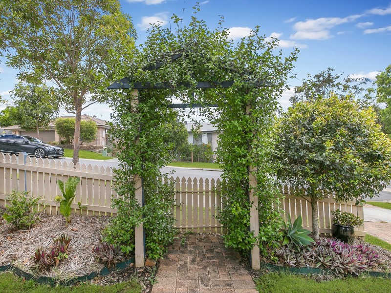 17  Rocky Cape Street, Springfield Lakes QLD 4300