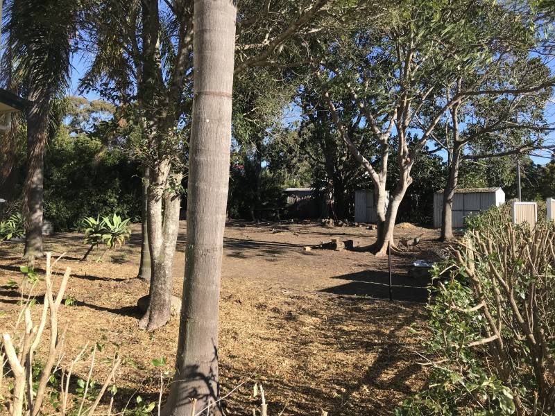 14 Hutchins Street, Tivoli QLD 4305