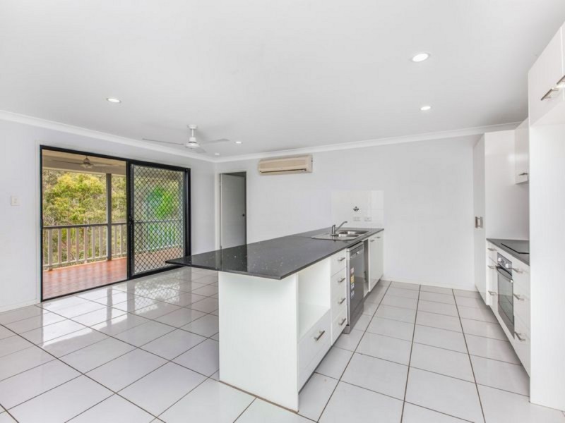 13 Daintree Place, Springfield Lakes QLD 4300