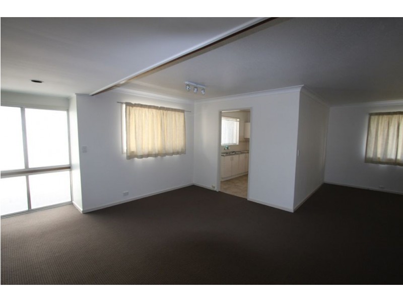 37 Dennistoun Street, Sunnybank Hills QLD 4109