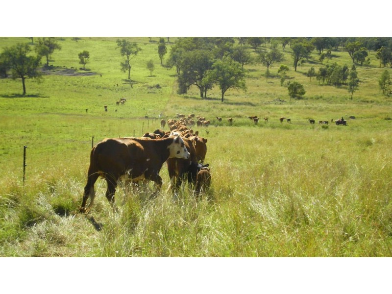 Lot 51-74,9-36 Bruxner Highway, Tenterfield NSW 2372