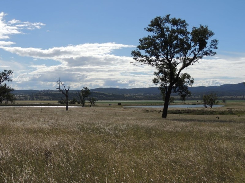 Lot 51-74,9-36 Bruxner Highway, Tenterfield NSW 2372