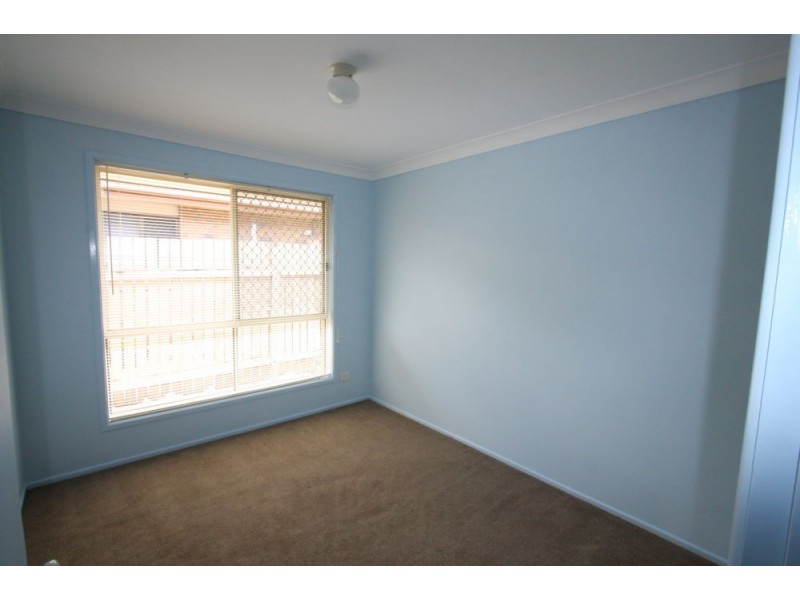 113 Landseer Street, Sunnybank Hills QLD 4109