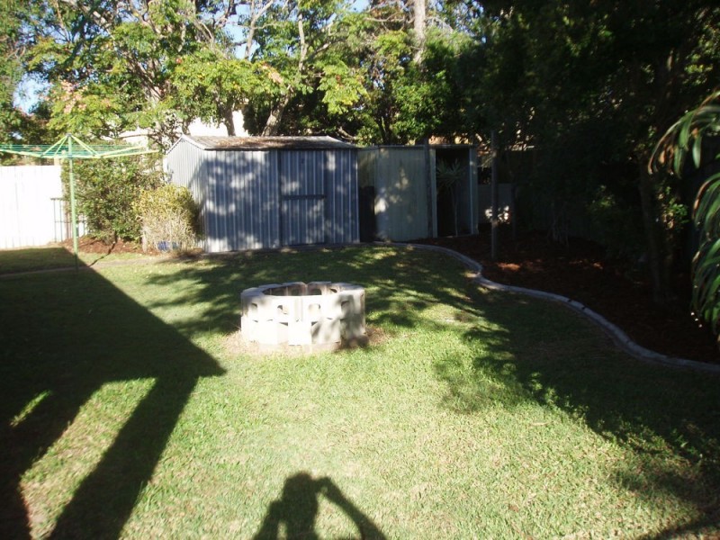 53 Alpinia Street, Alexandra Hills QLD 4161