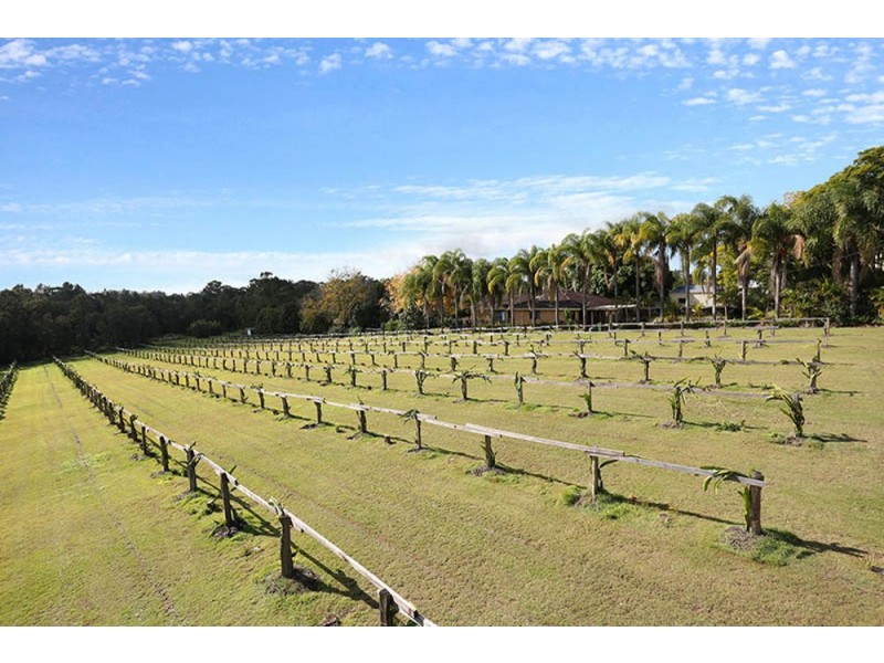 109 Fraser Road, Beerwah QLD 4519