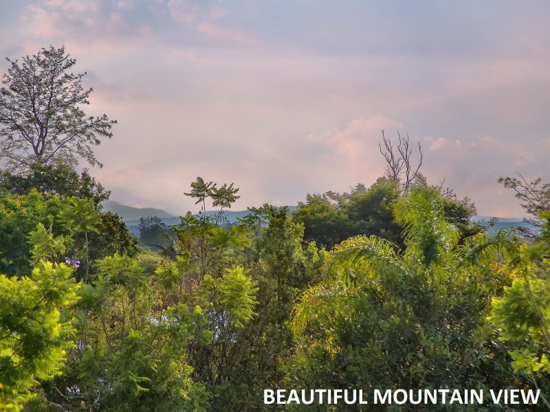 11 Riley Street, Calamvale QLD 4116