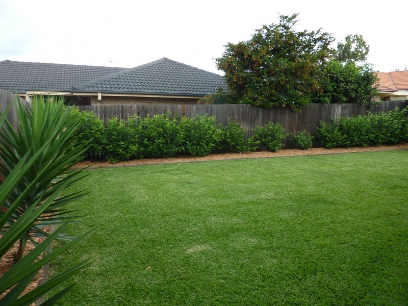 8 Bullen Cct, Forest Lake QLD 4078