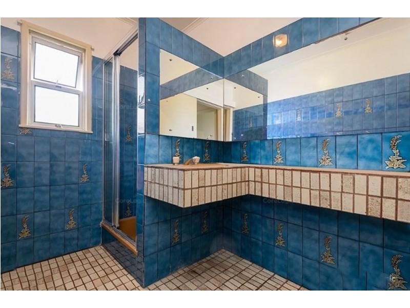 177 Orange Grove Road, Coopers Plains QLD 4108