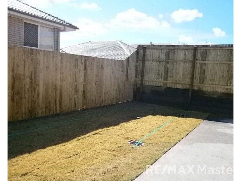 13 Grindelia Drive, Springfield Lakes QLD 4300