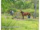 215-225 Scott lane, North Maclean QLD 4280