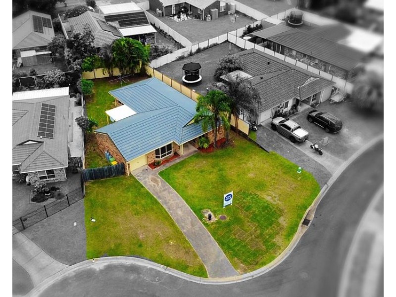 16 Mareeba Court, Boronia Heights QLD 4124