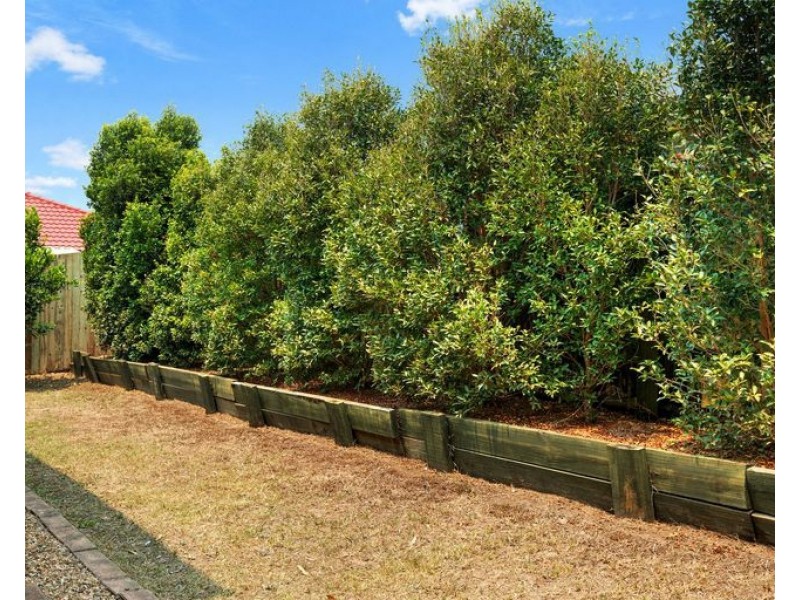 20 Harrision Cr, Forest Lake QLD 4078