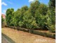 20 Harrison Cr, Forest Lake QLD 4078