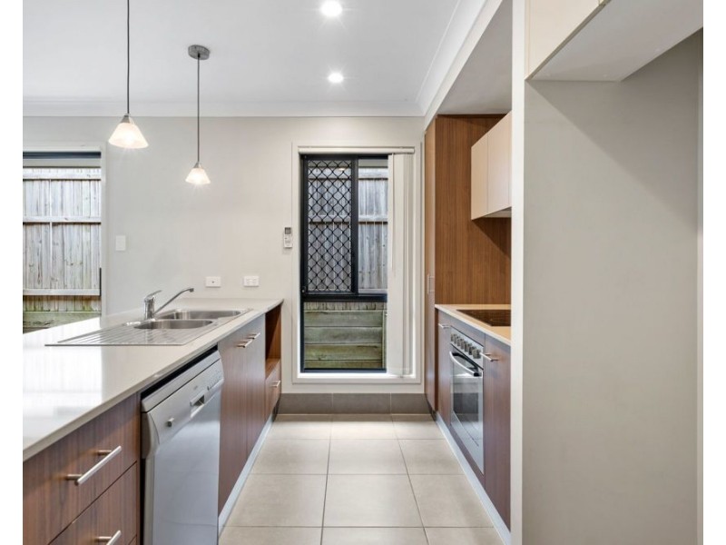 13 Grindelia Drive, Springfield Lakes QLD 4300