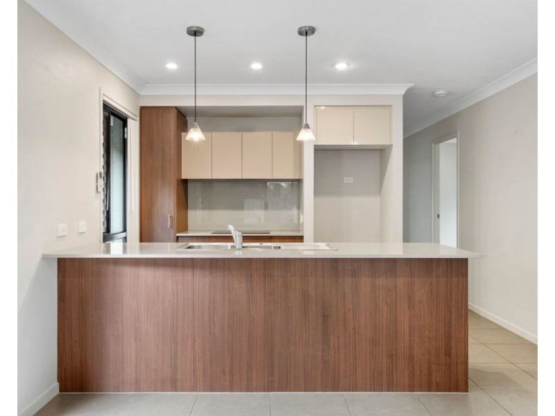 13 Grindelia Drive, Springfield Lakes QLD 4300