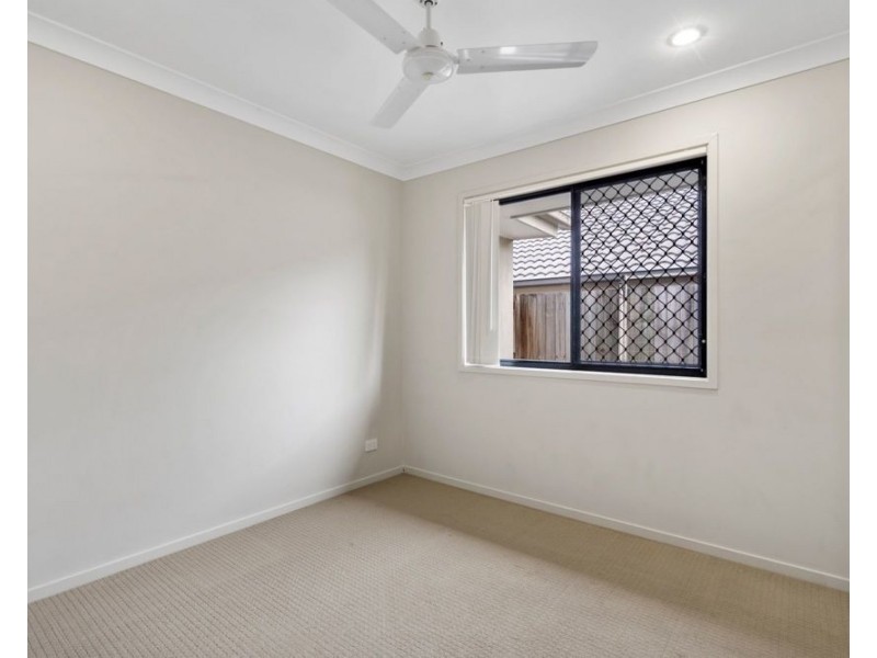 13 Grindelia Drive, Springfield Lakes QLD 4300