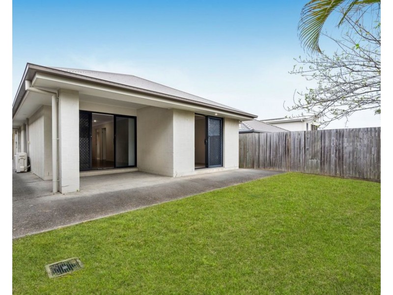 13 Grindelia Drive, Springfield Lakes QLD 4300