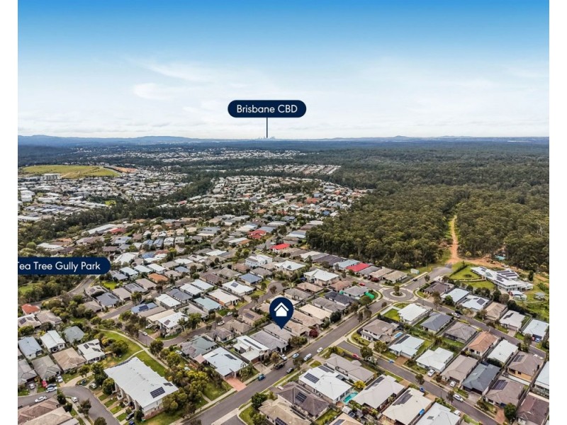 13 Grindelia Drive, Springfield Lakes QLD 4300