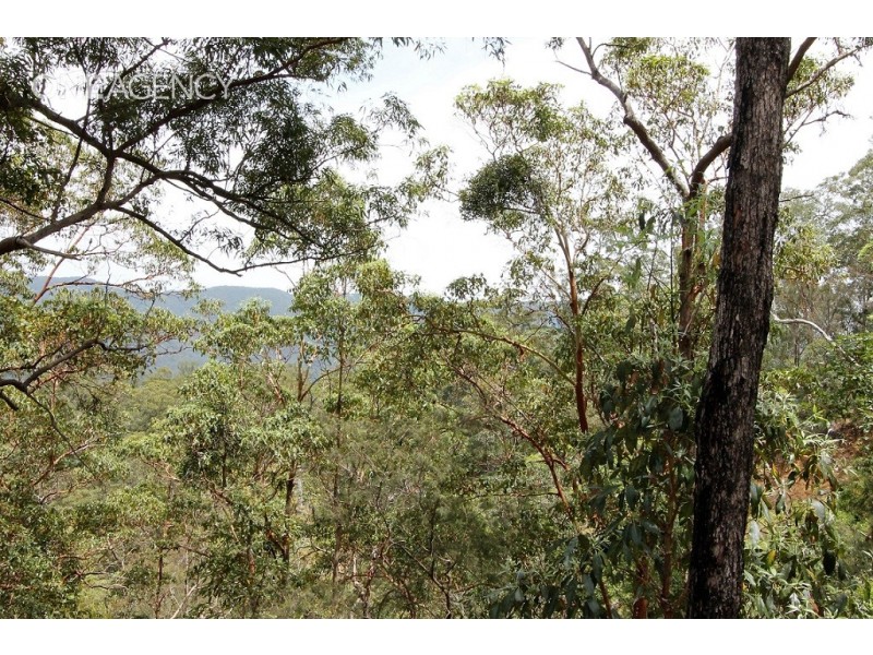 Lot 125 Ruckers Road, Laceys Creek QLD 4521