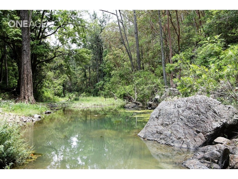 Lot 125 Ruckers Road, Laceys Creek QLD 4521