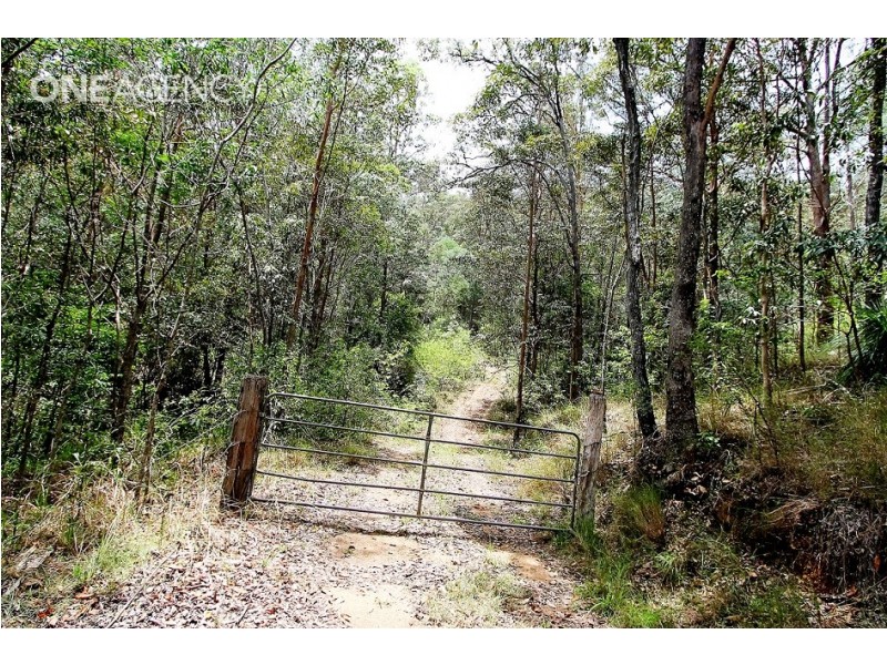 Lot 125 Ruckers Road, Laceys Creek QLD 4521