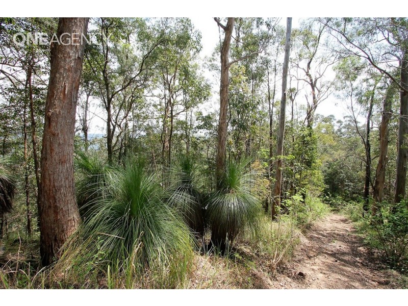 Lot 125 Ruckers Road, Laceys Creek QLD 4521