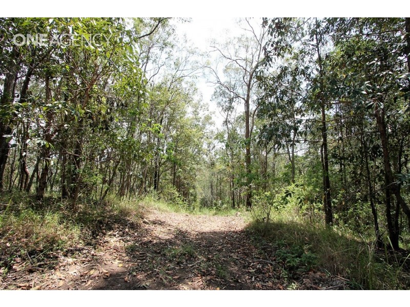 Lot 125 Ruckers Road, Laceys Creek QLD 4521